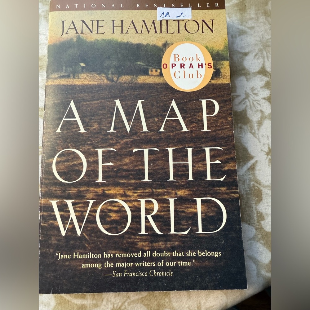A Map of the World Book